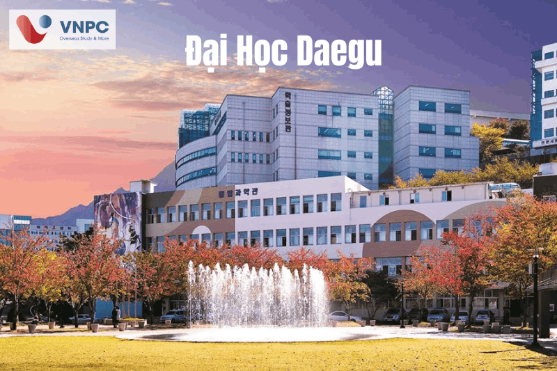 Trường 77King 78 trò chơi hấp dẫn Daegu Hàn Quốc